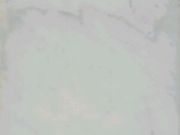 Carrara Bianco Quartz