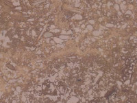 Durango Stone