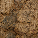 Lapidus Zoom
