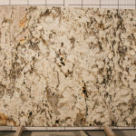 Delicatus White