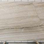 White Macabus