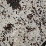 White Splendor Zoom
