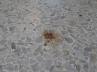 How To Remove A Terrazzo Stain