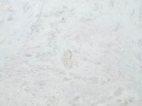 Tesoro Bianco